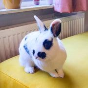 <strong>Mrs Hudson</strong>