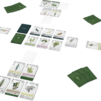 Reforest: OerboX (incl. promo) - Pakket (NL) [PRE ORDER]